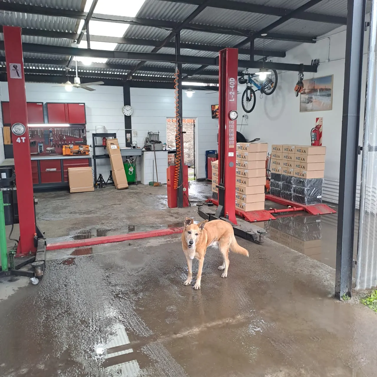 Taller antes de instalar piso NEXA
