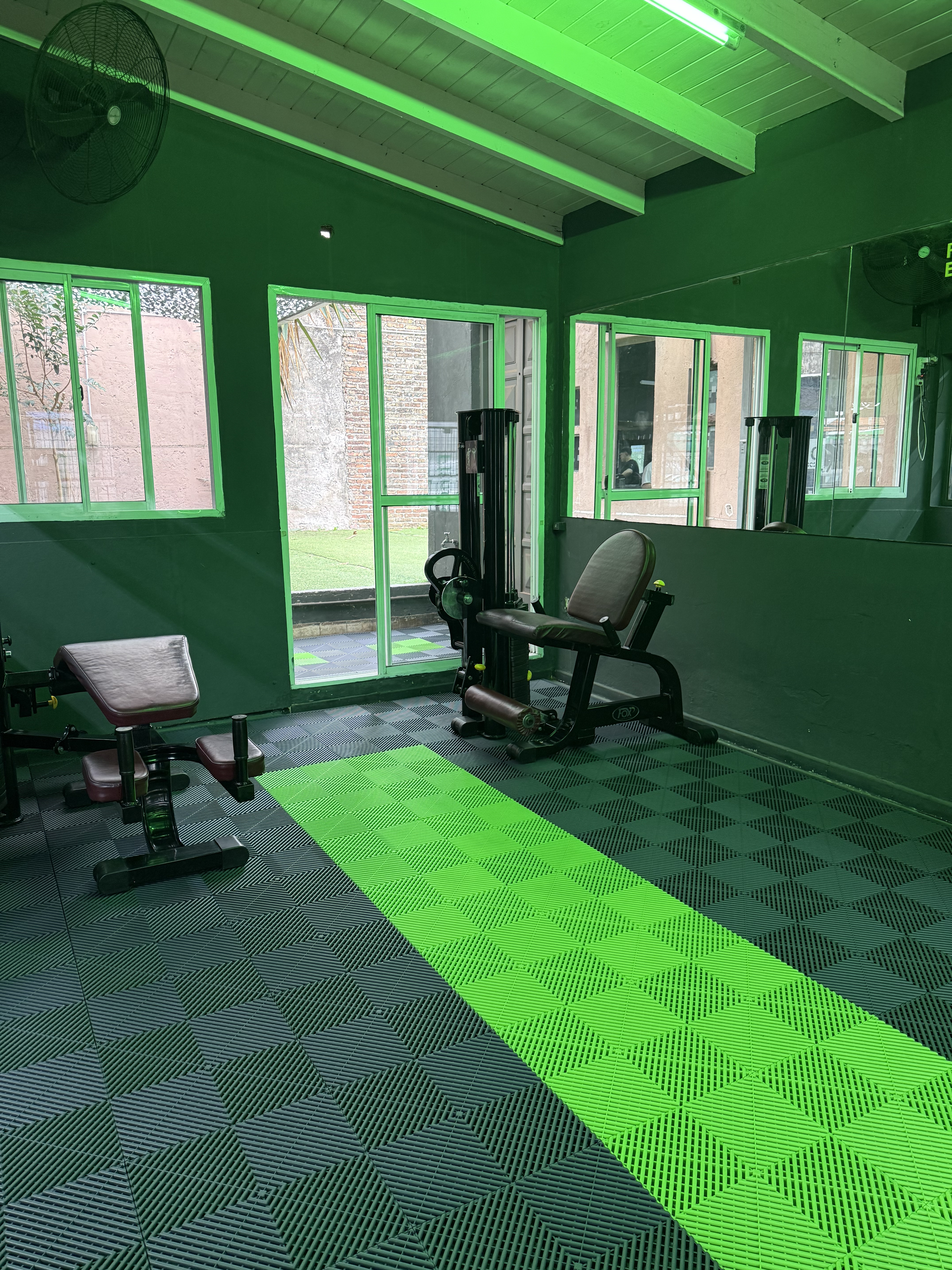 Gimnasio